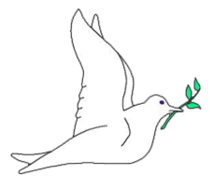 A white dove